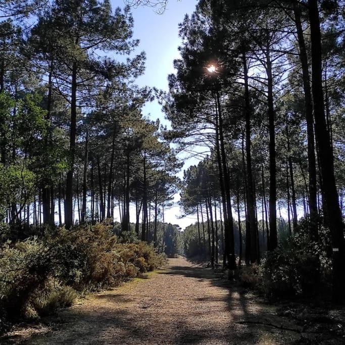Les Jardins De Mimizan Bed & Breakfast Dış mekan fotoğraf